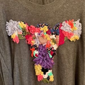 Anthroplogie Charlie and Robin sweater